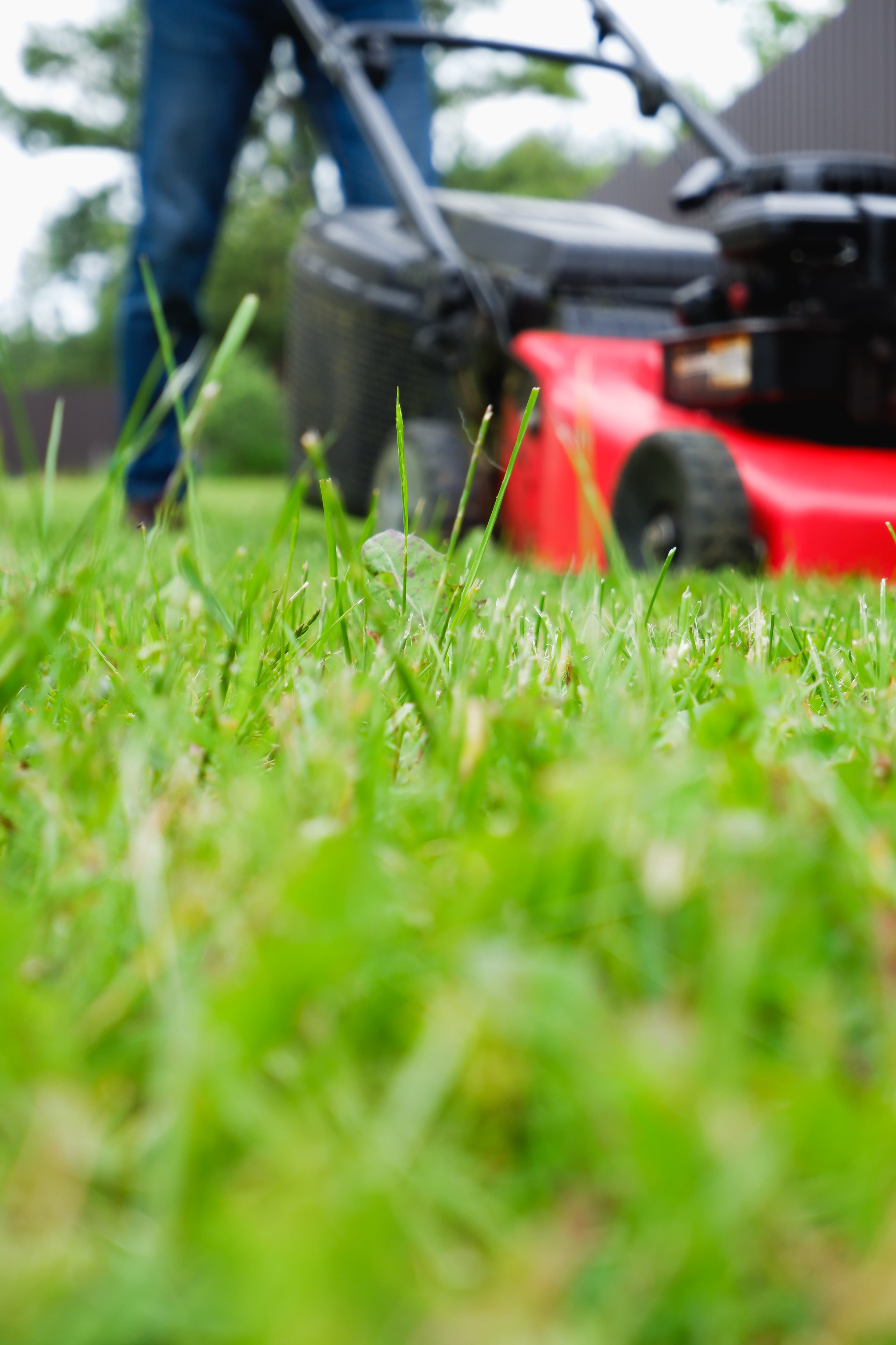 Professional lawn care service - contractor mowing lawn